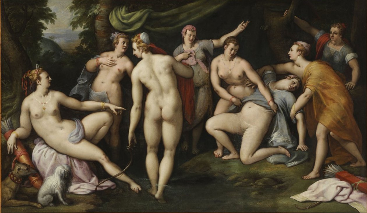 Diana che scopre la gravidanza di Callisto da Gillis Coignet