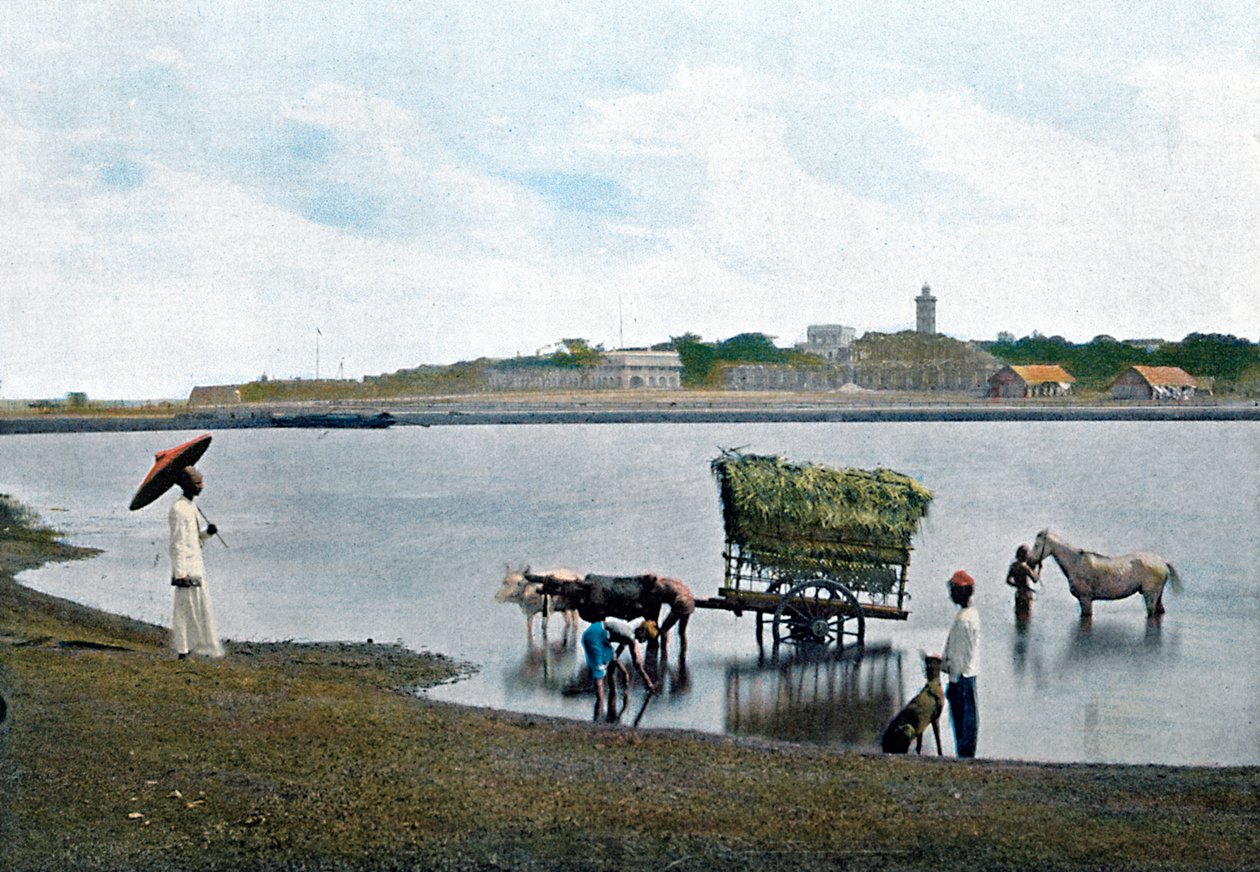 Colombo, Ceylon, c1890 da Gillot