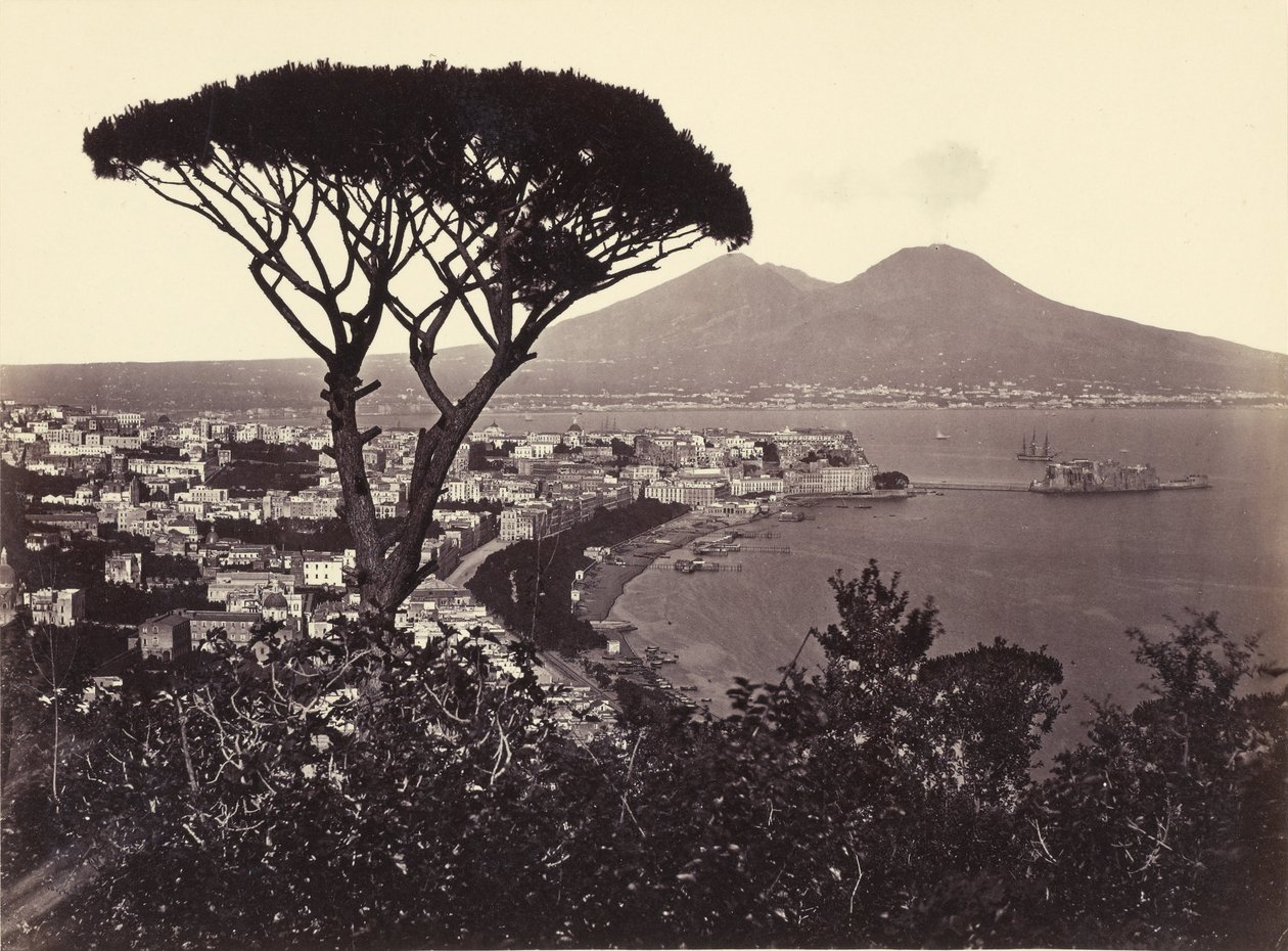 Panorama di Vomero con pino da Giorgio Sommer