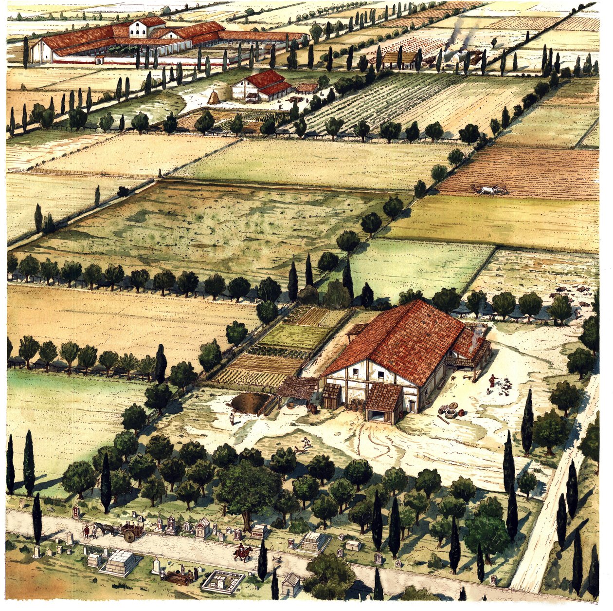 Roma antica: ricostruzione di un piano di assetto del territorio noto come "Centuriazione romana" finalizzato a ritagliare geometricamente un territorio agricolo nelle colonie, seguendo le unità (o secoli) romane, Italia da Giorgio Albertini