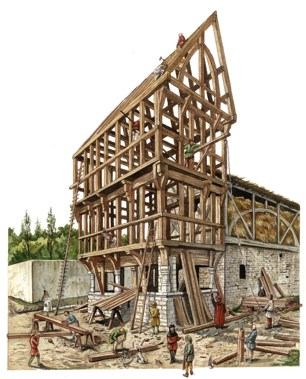Medioevo: un cantiere in una regione della Francia settentrionale nel XIV secolo, carpentieri e falegnami lavorano alla struttura in legno di un fienile. Illustrazione di Giorgio Albertini. (L