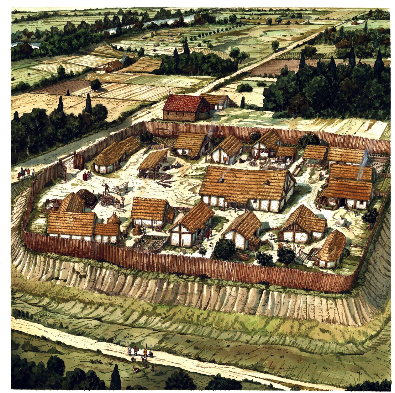 Medioevo: ricostruzione di una motte (illustrazione) da Giorgio Albertini