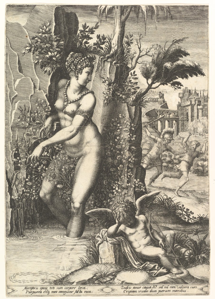 Venere punta dalle spine di un cespuglio di rose, sullo sfondo Marte che insegue Adone da Giorgio Ghisi