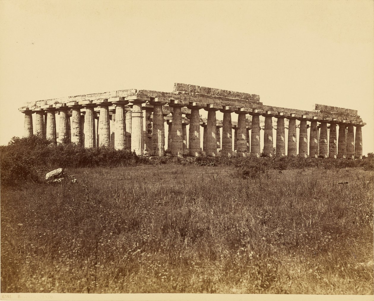 Basilica, Paestum da Giorgio Sommer
