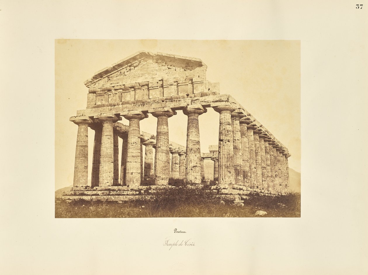 Paestum. Tempio di Cerere da Giorgio Sommer