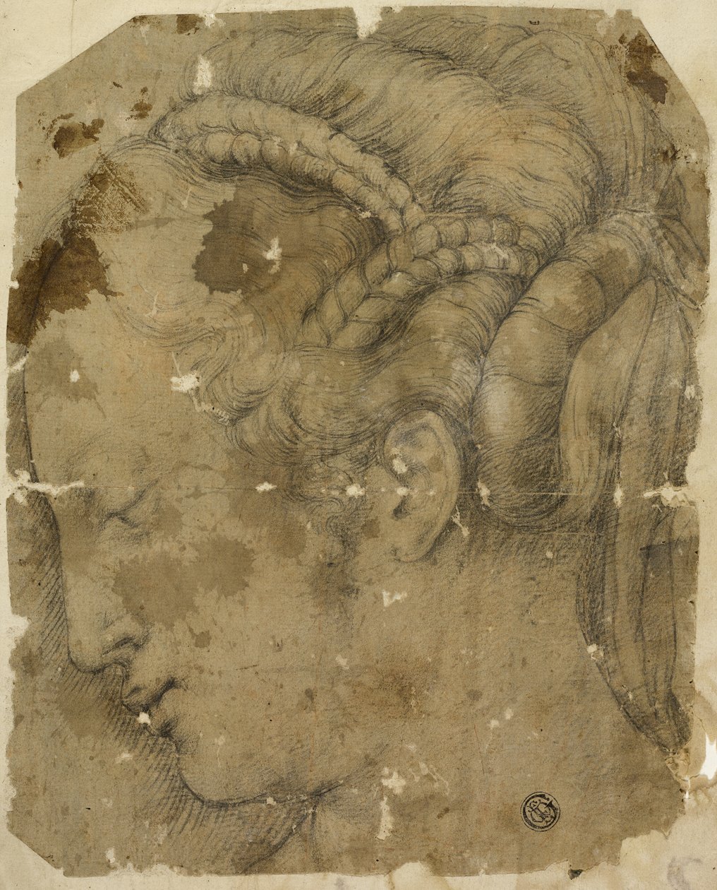 Testa femminile di profilo a sinistra da Giorgio Vasari