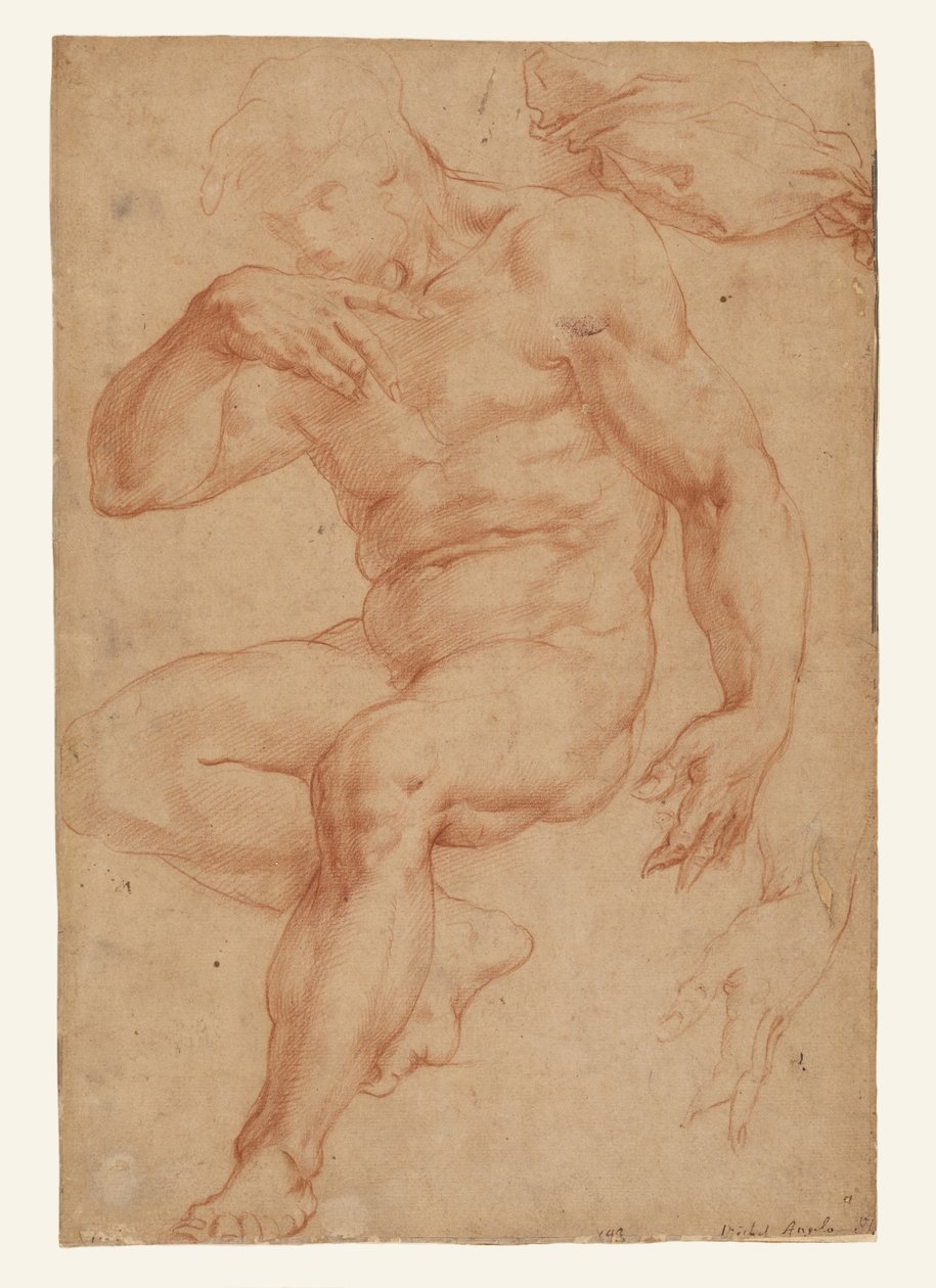 Studien eines männlichen Aktes, eines Gewandes und einer Hand da Giorgio Vasari