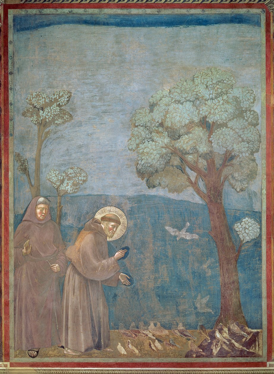 San Francesco Predica agli Uccelli, 1297-99 da Giotto di Bondone