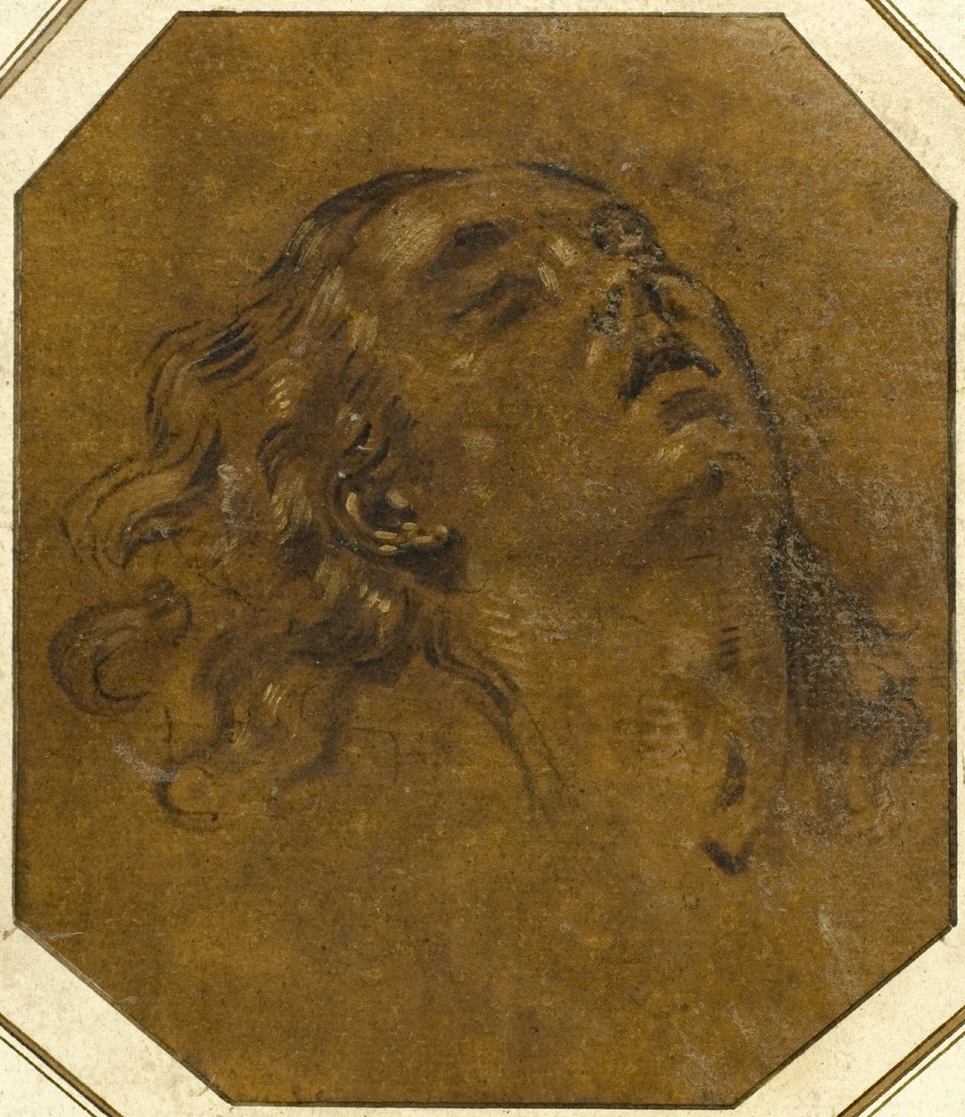 Testa femminile da Giovan Gioseffo dal Sole