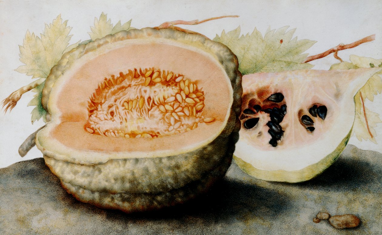 Un melone e una fetta di anguria da Giovanna Garzoni