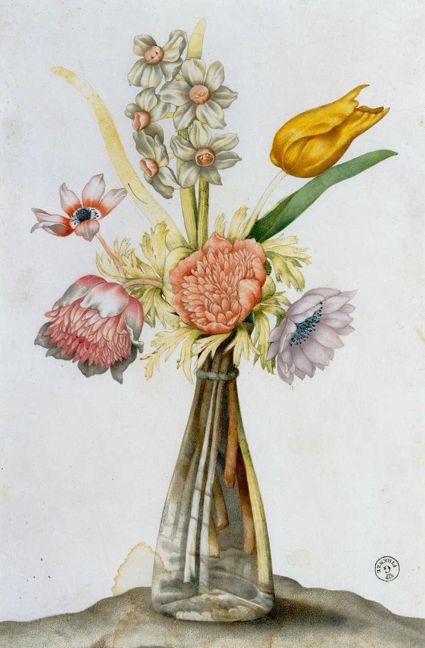 Vaso di vetro con anemoni, un narciso e un tulipano da Giovanna Garzoni