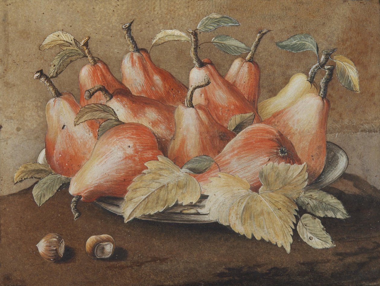 Natura morta con pere e nocciole da Giovanna Garzoni