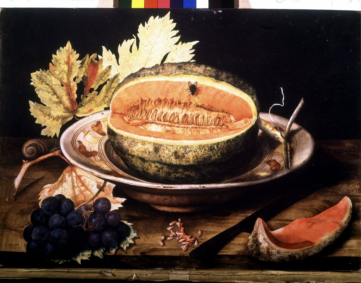 Anguria con mosca da Giovanna Garzoni