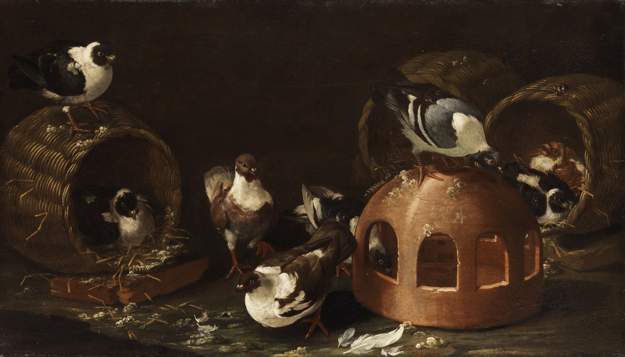 Piccioni tra la mangiatoia e i cesti da Giovanni Agostino Cassana