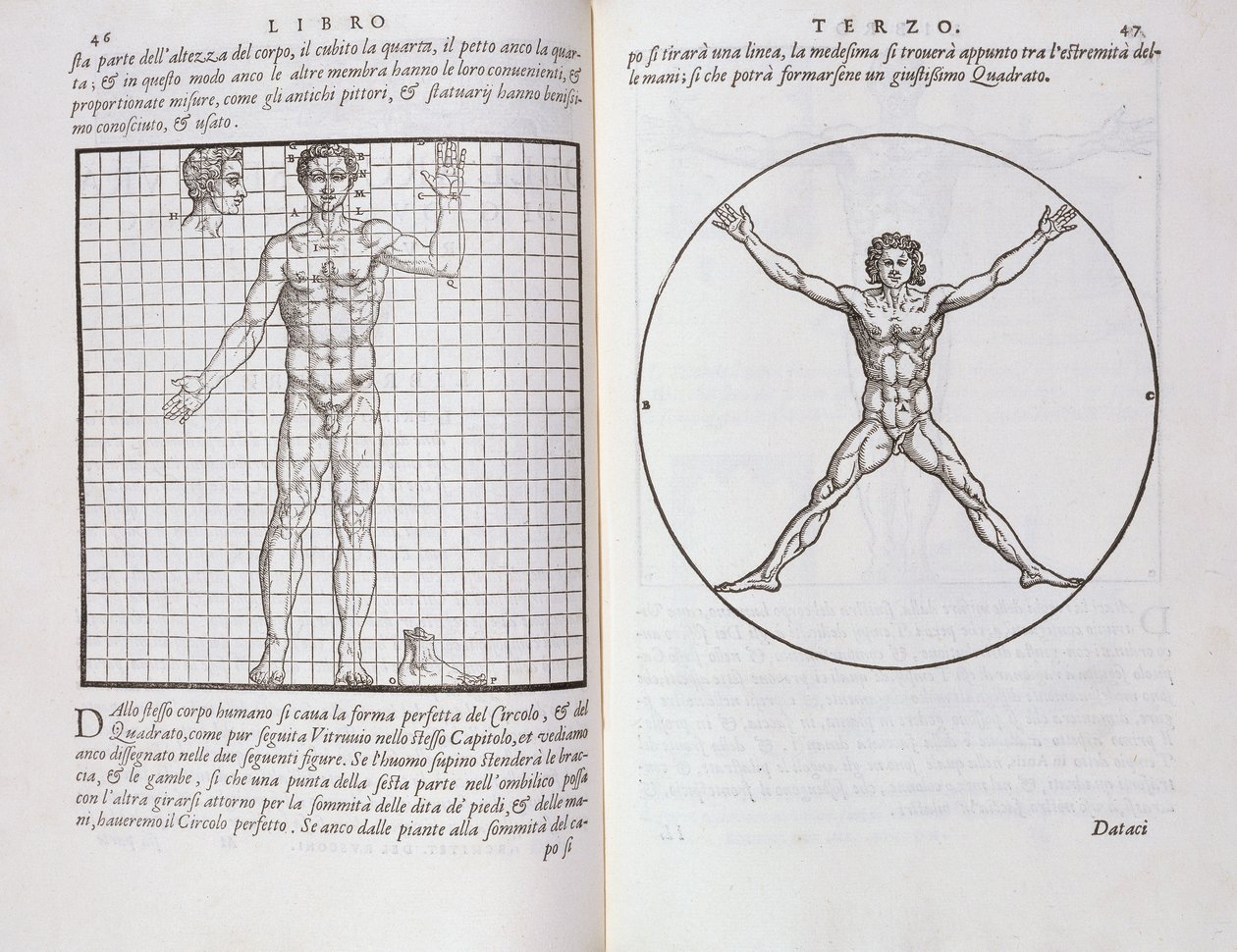 Proporzioni ideali basate sul corpo umano, da 