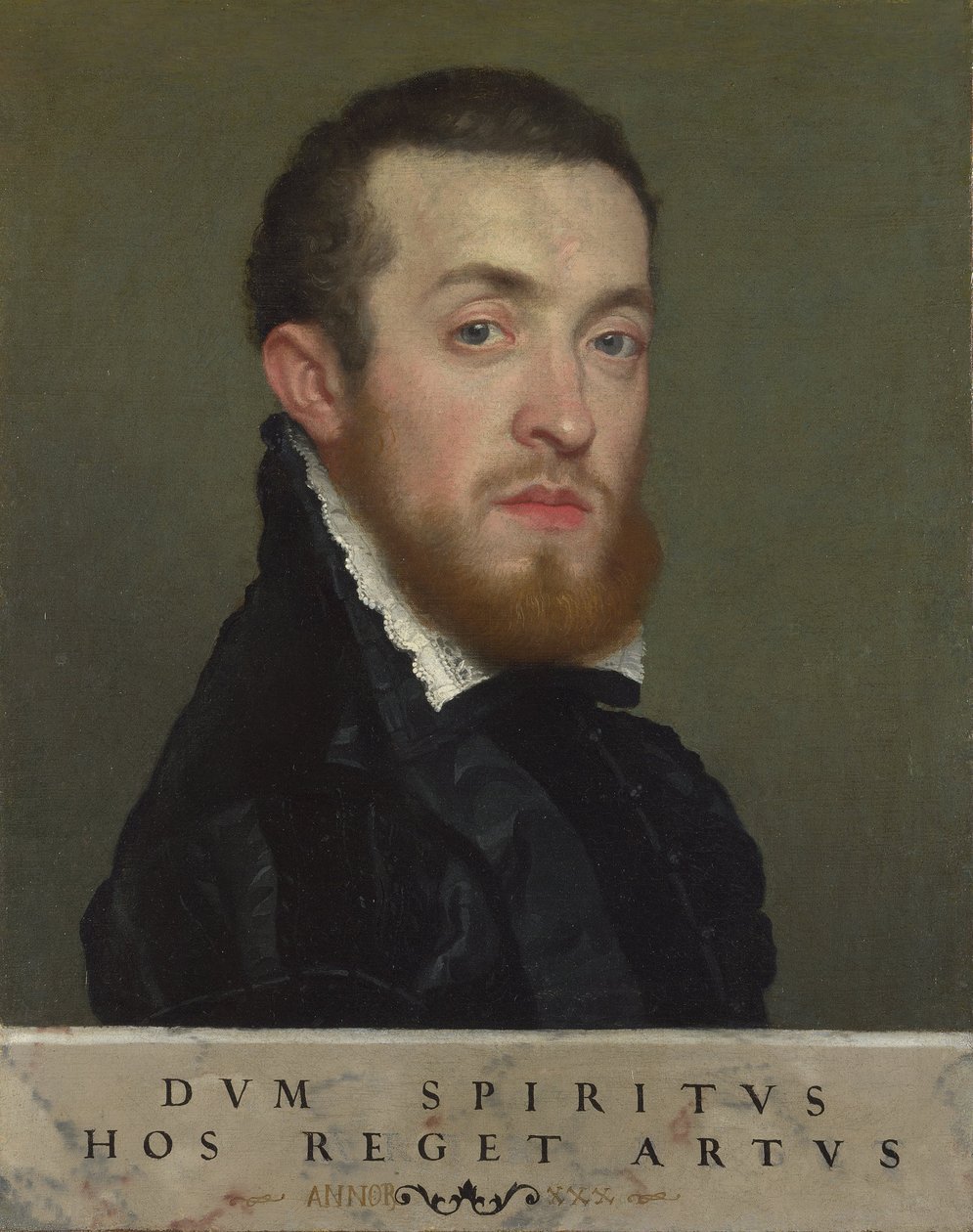 Ritratto busto di un giovane con un