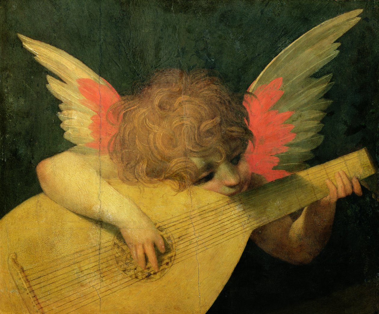 Angelo Musicista, c.1520 da Giovanni Battista Rosso Fiorentino