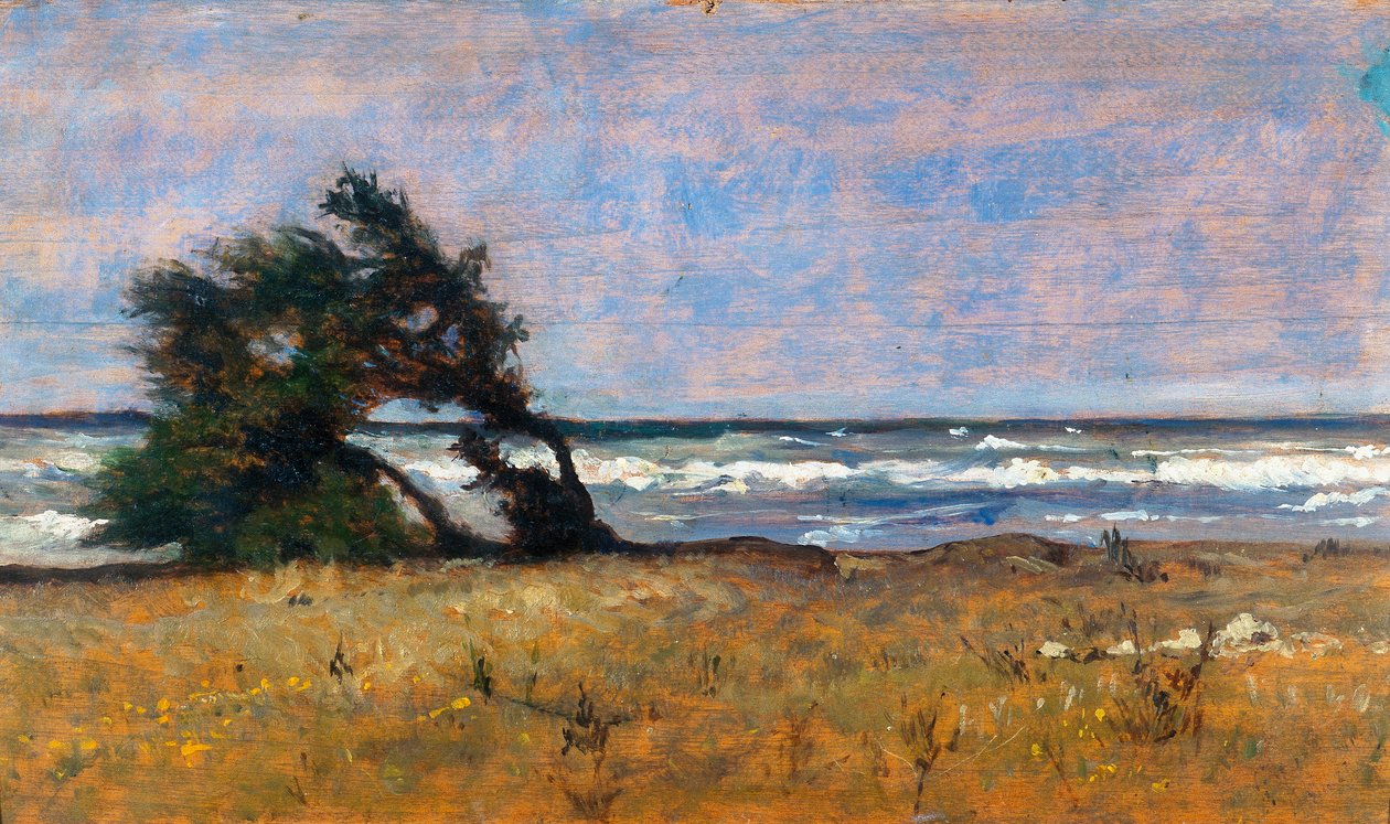 Tempesta da Giovanni Fattori