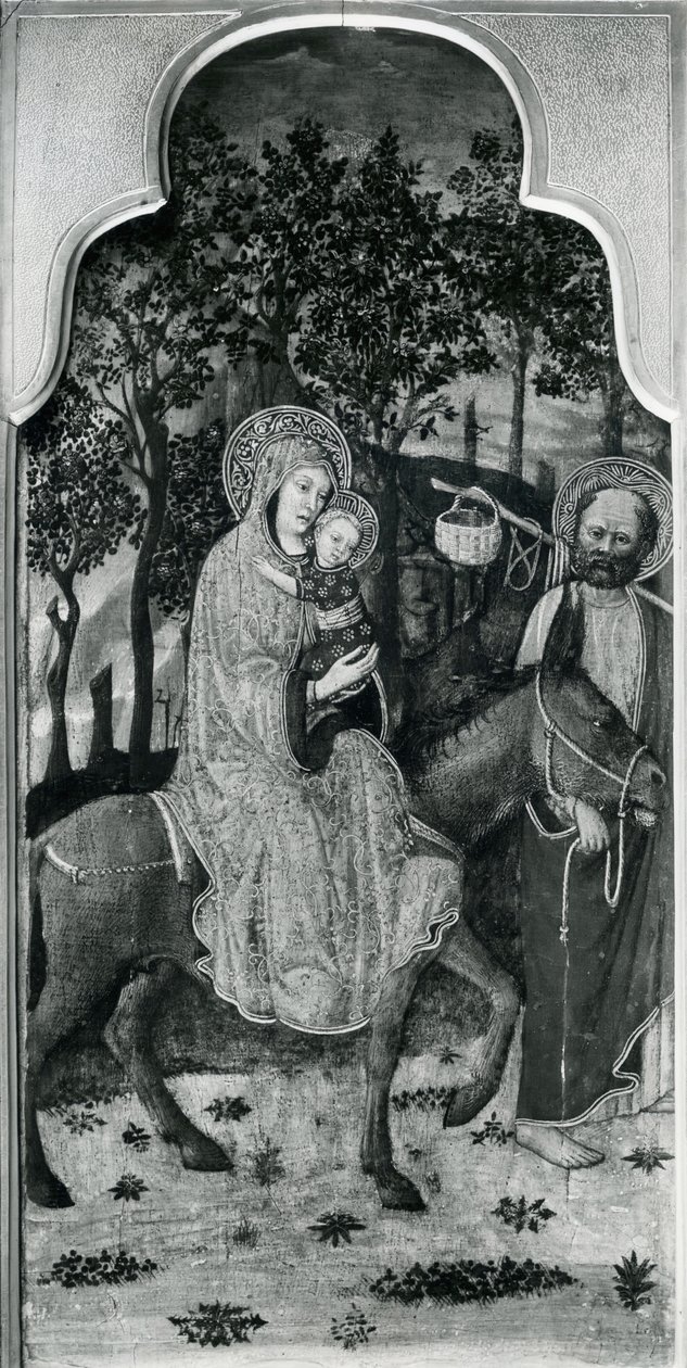 Ciclo della Vita della Vergine, Fuga in Egitto, c.1445 da Giovanni Francesco da Rimini