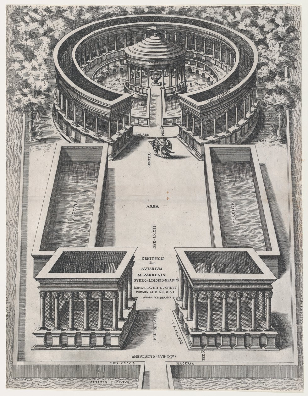 Speculum Romanae Magnificentiae: Ornithon Sive Aviarum da Giovanni Ambrogio Brambilla