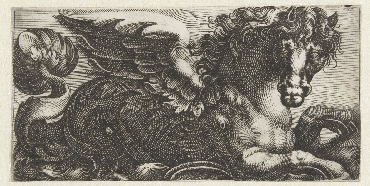 Cavallo marino alato con un nodo di foglie sulla coda (serie di fregi con mostri marini) da Giovanni Andrea Maglioli