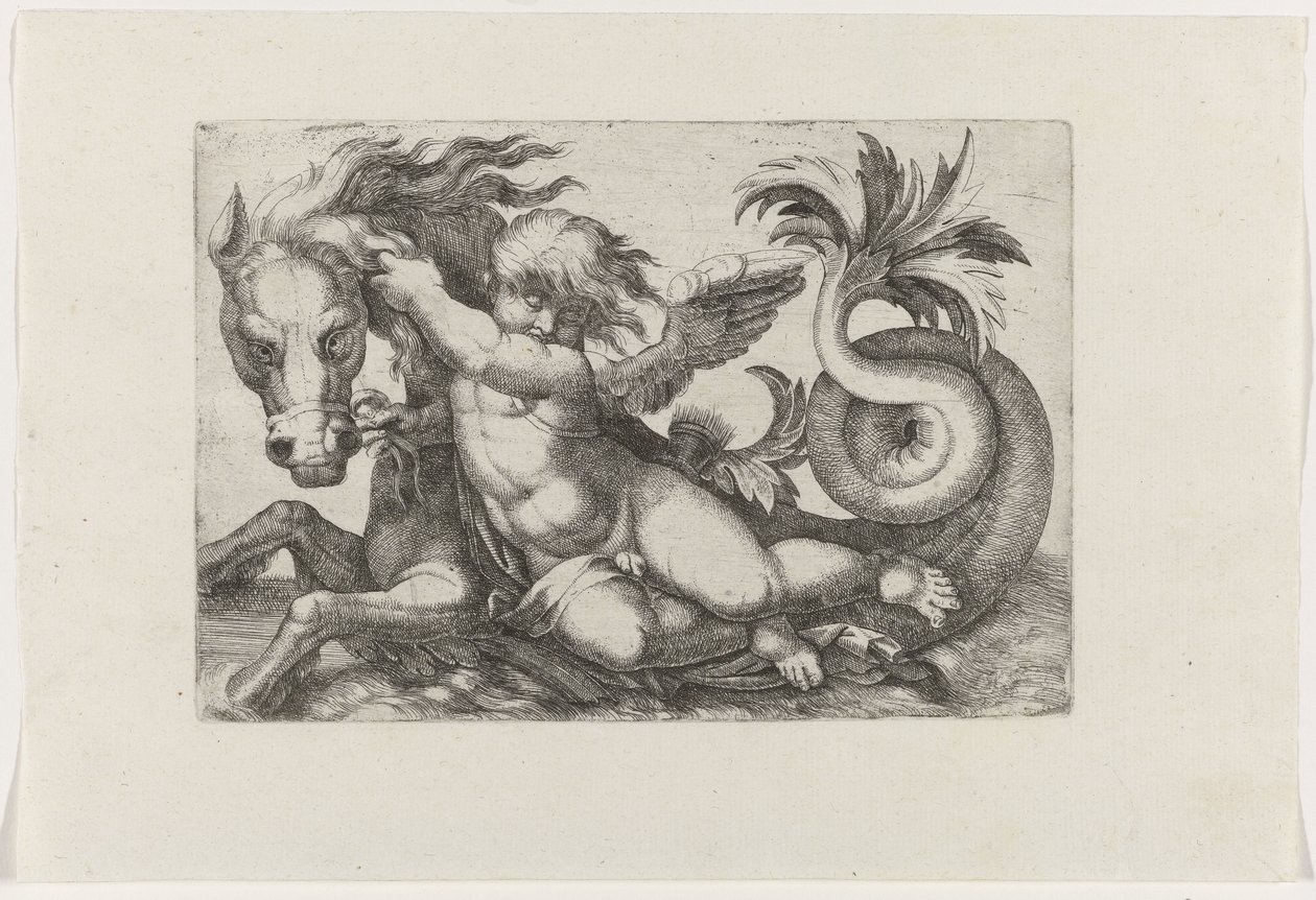 Putto che cavalca un cavalluccio marino da Giovanni Andrea Maglioli