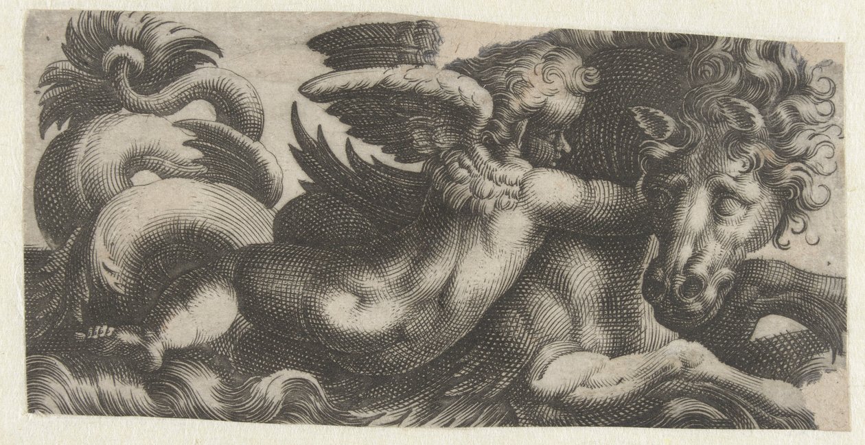 Cavalluccio marino con un putto al collo da Giovanni Andrea Maglioli