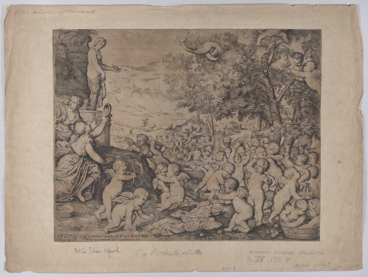 Putti davanti a una statua di Venere, dopo Tiziano da Giovanni Andrea Podesta