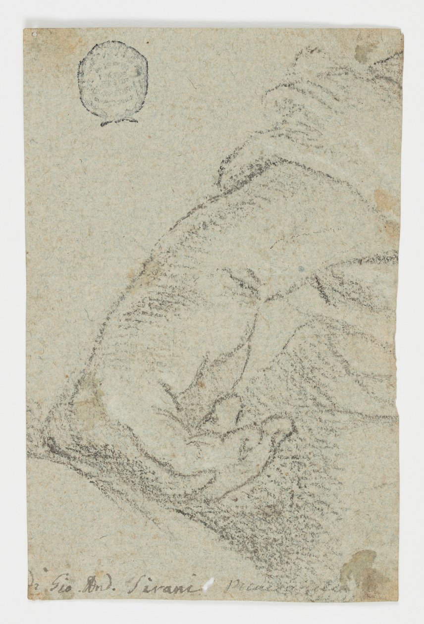 Disegno, studio: Mano sinistra in posizione appoggiata, 1650 ca. da Giovanni Andrea Sirani