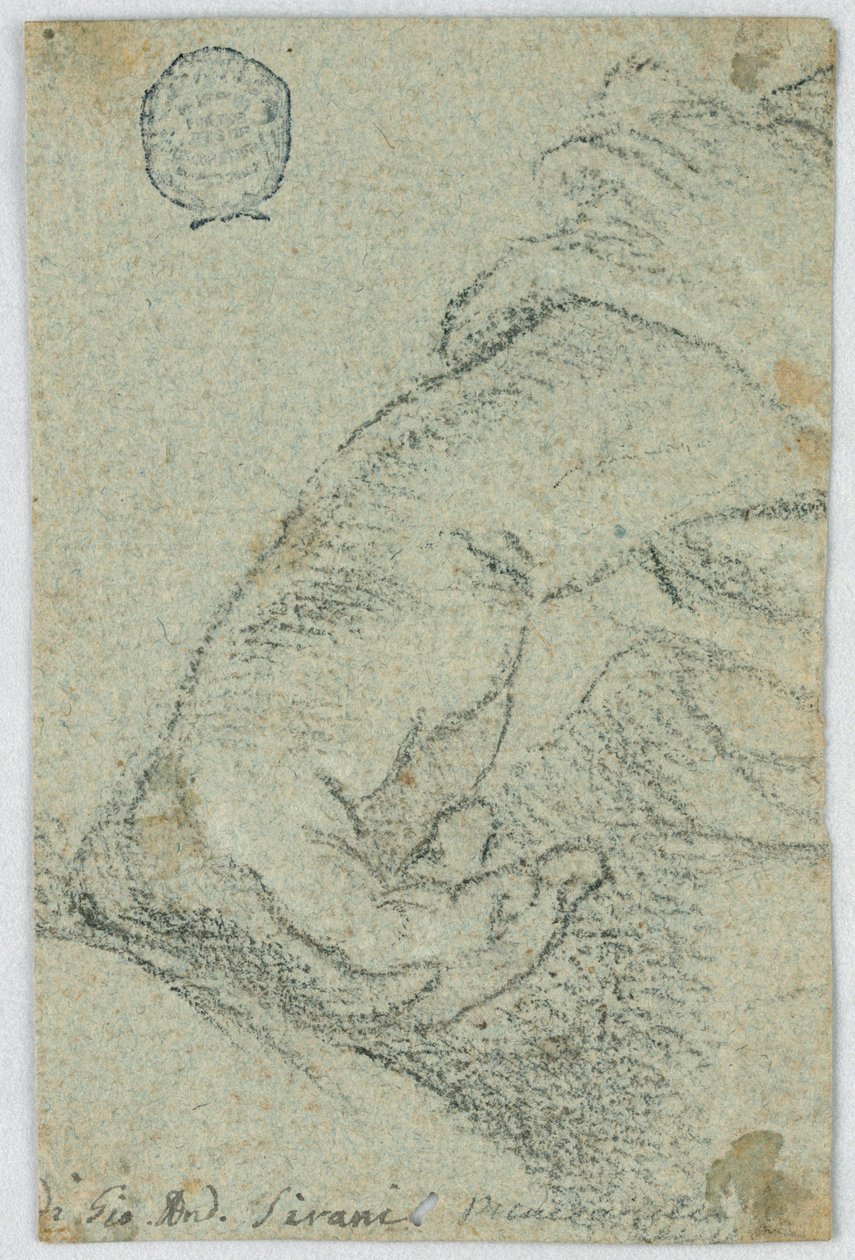 Disegno, studio: Mano sinistra in posizione appoggiata, 1650 ca. da Giovanni Andrea Sirani