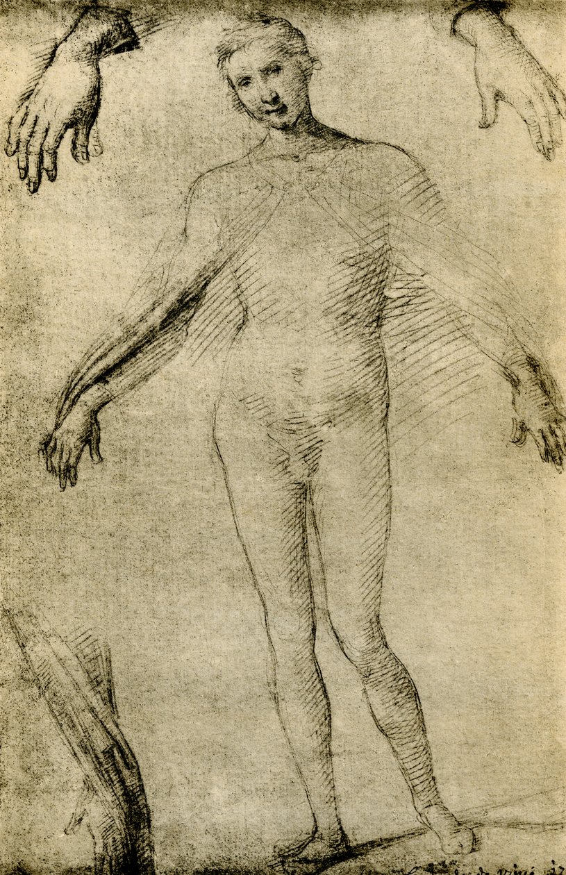 Studio di modello per una Vergine Maria come mater misericordiae da Giovanni Antonio Bazzi Sodoma