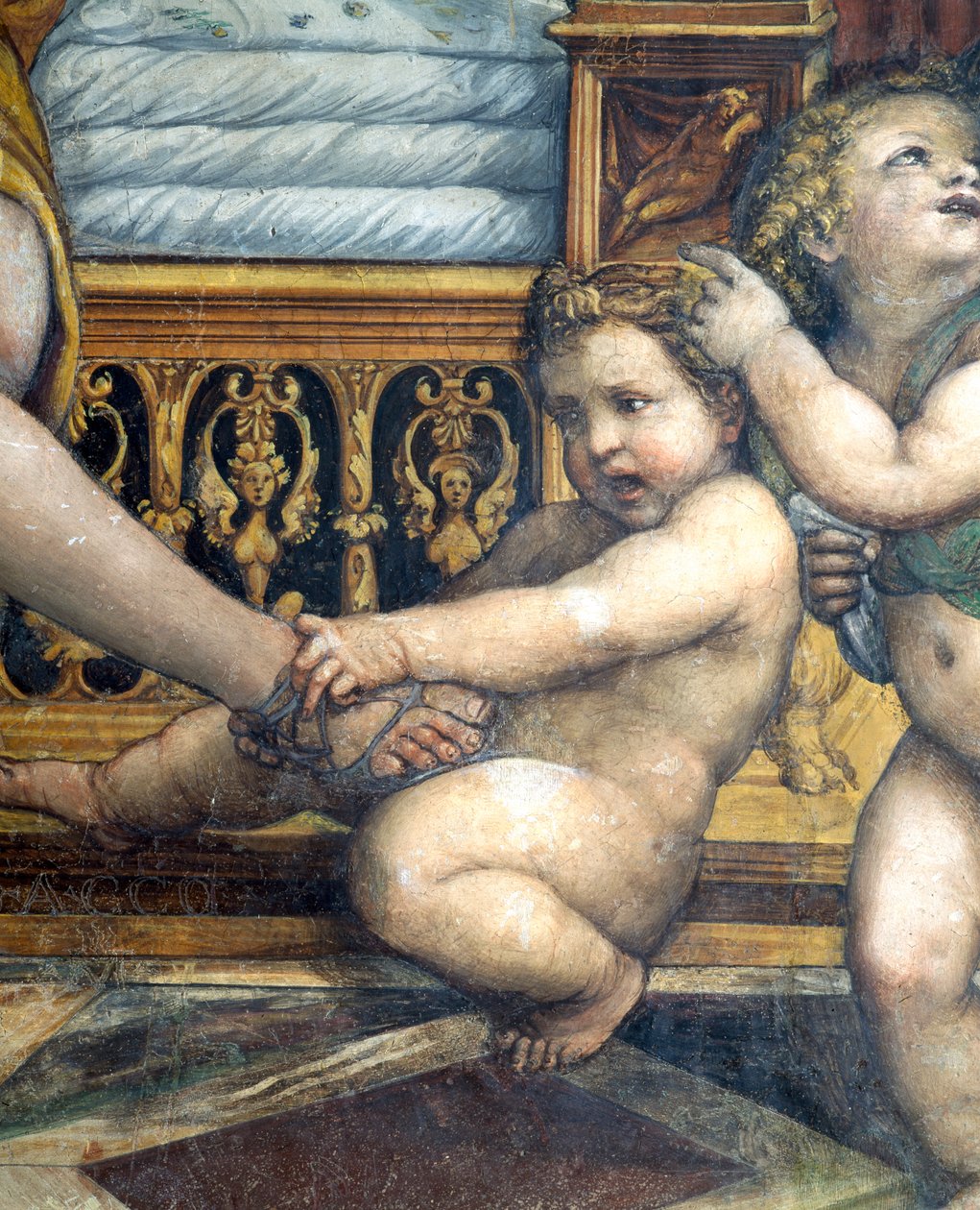 Sala delle Nozze di Alessandro e Rossana, dettaglio di un putto che tira il piede di Rossana (dettaglio) da Giovanni Antonio Bazzi Sodoma