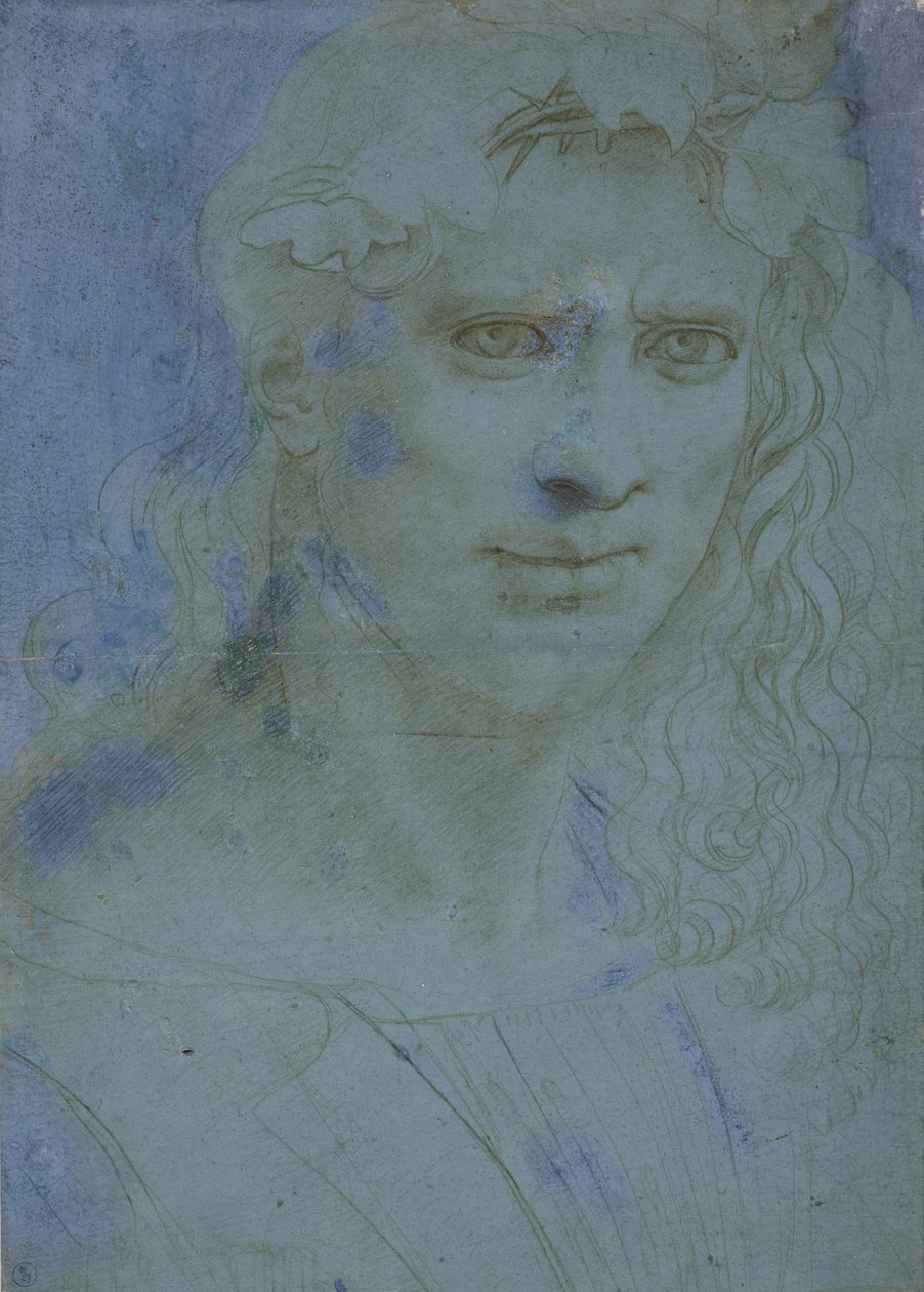 Busto di giovane coronato di spine e tralci di vite, c. 1495 da Giovanni Antonio Boltraffio