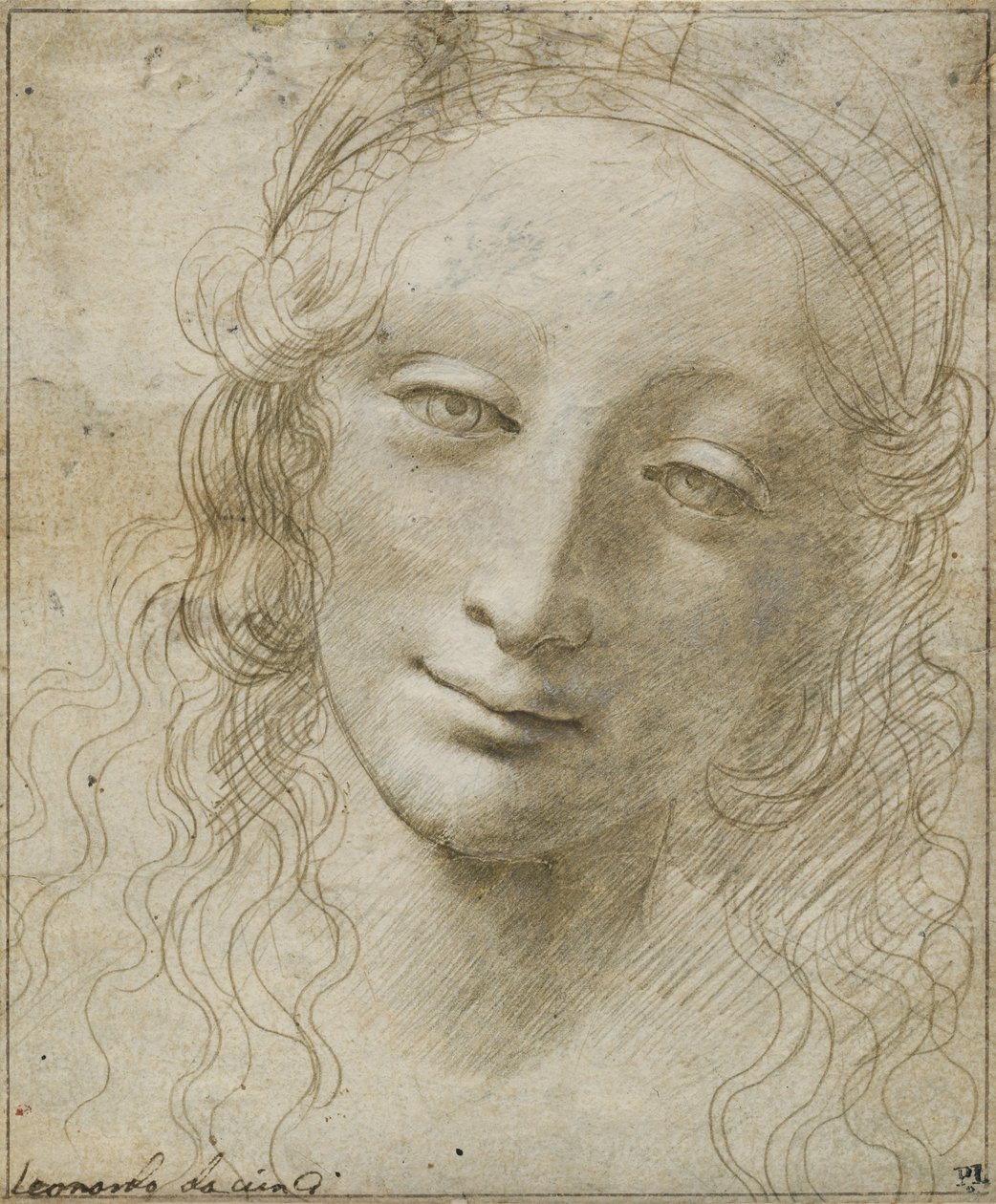 Testa di una donna da Giovanni Antonio Boltraffio