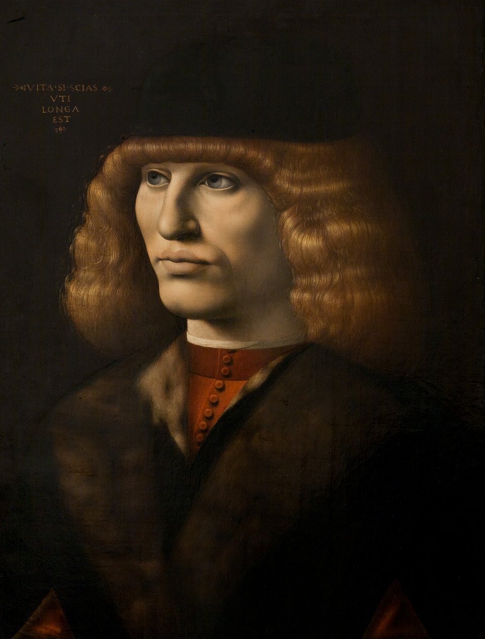 Ritratto di un giovane uomo, c.1500 da Giovanni Antonio Boltraffio