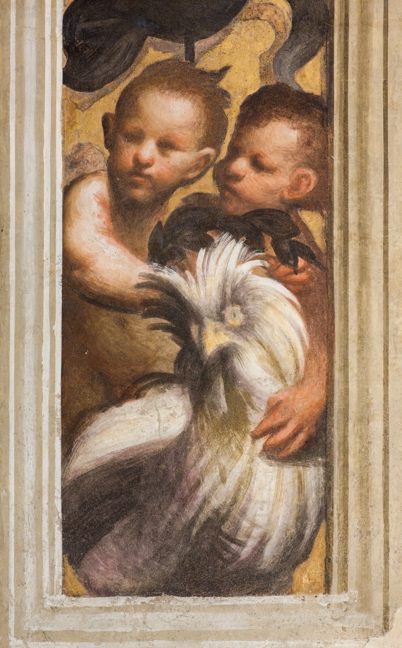 Parte superiore di Lesena sopra il capitello primo e secondo arco sud, IL Pordenone, Puttini (dettaglio) da Giovanni Antonio Pordenone