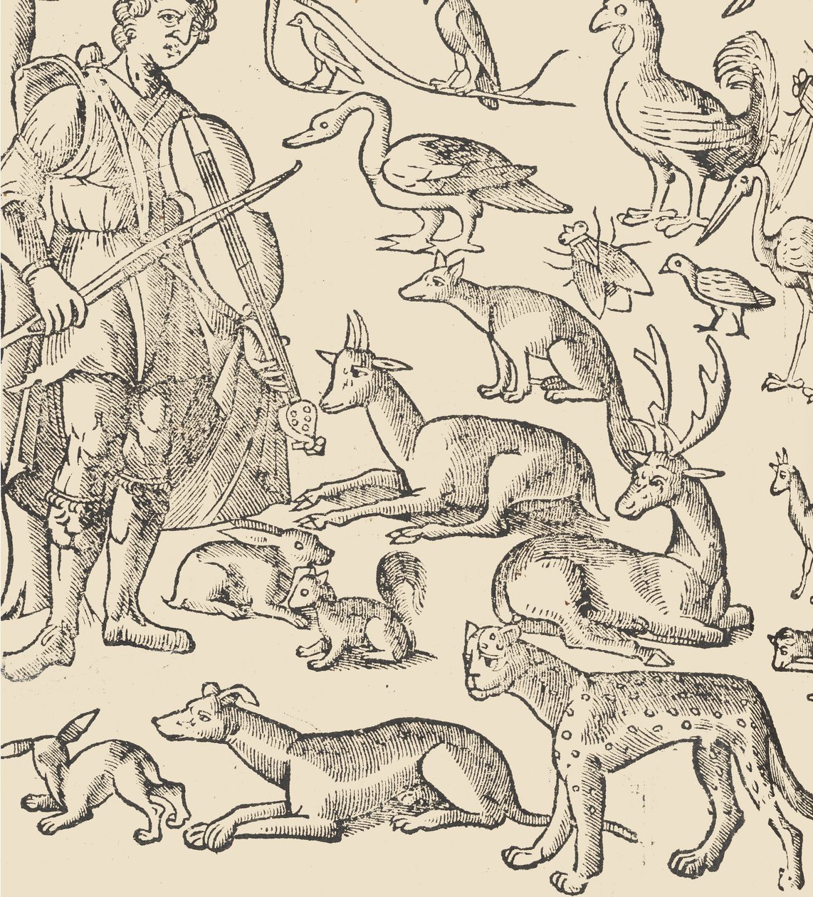 Essempio di recammi, pagina 12 verso da Giovanni Antonio Tagliente