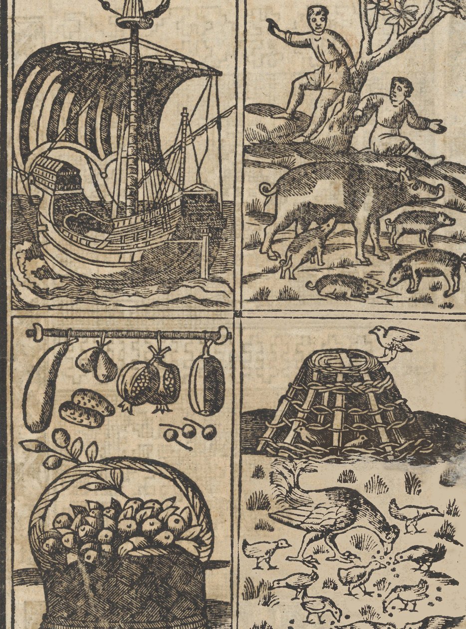 Esempio di ricami, pagina 9 recto, 1530 da Giovanni Antonio Tagliente