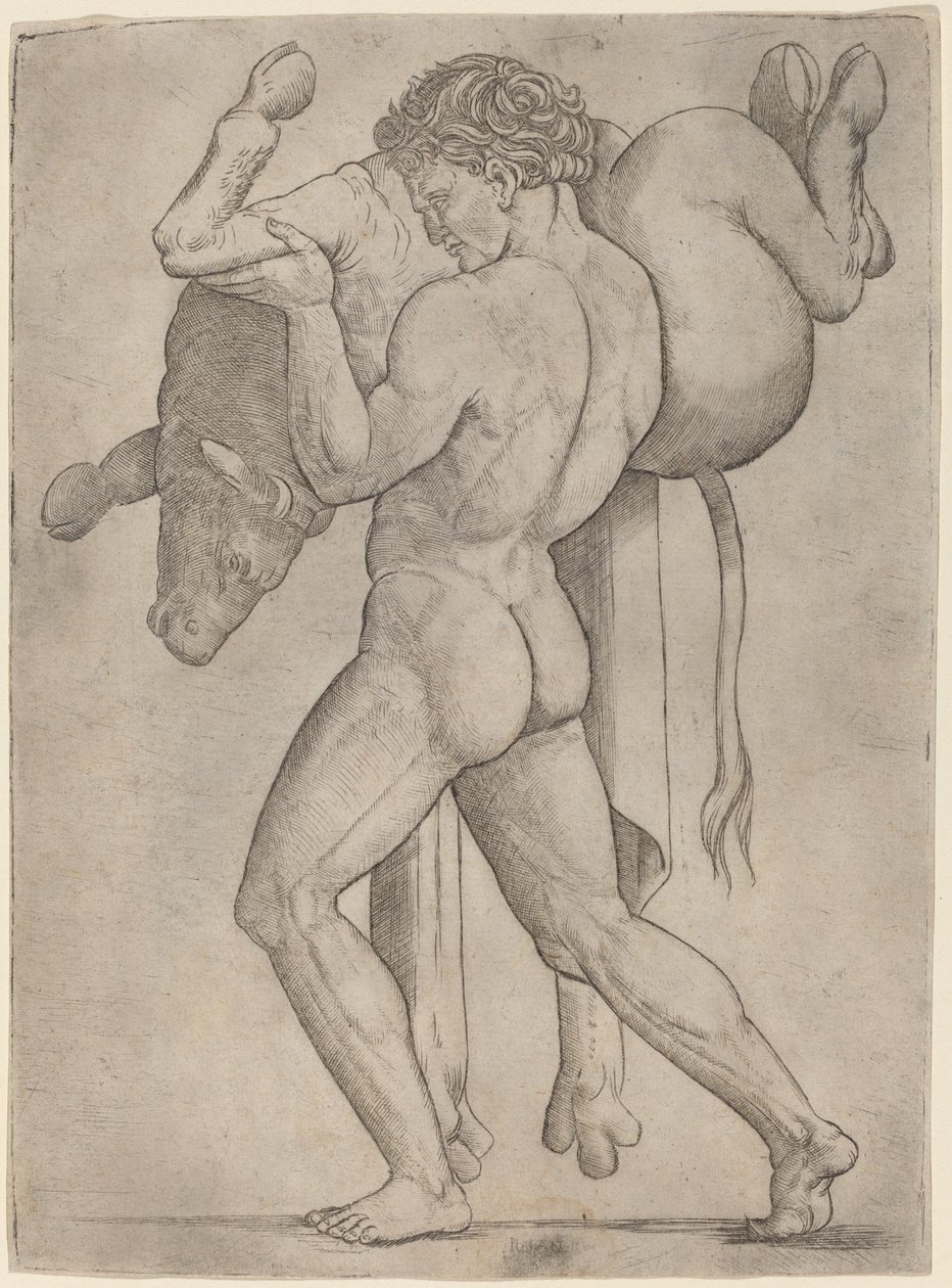 Ercole e il Toro di Creta da Giovanni Antonio da Brescia