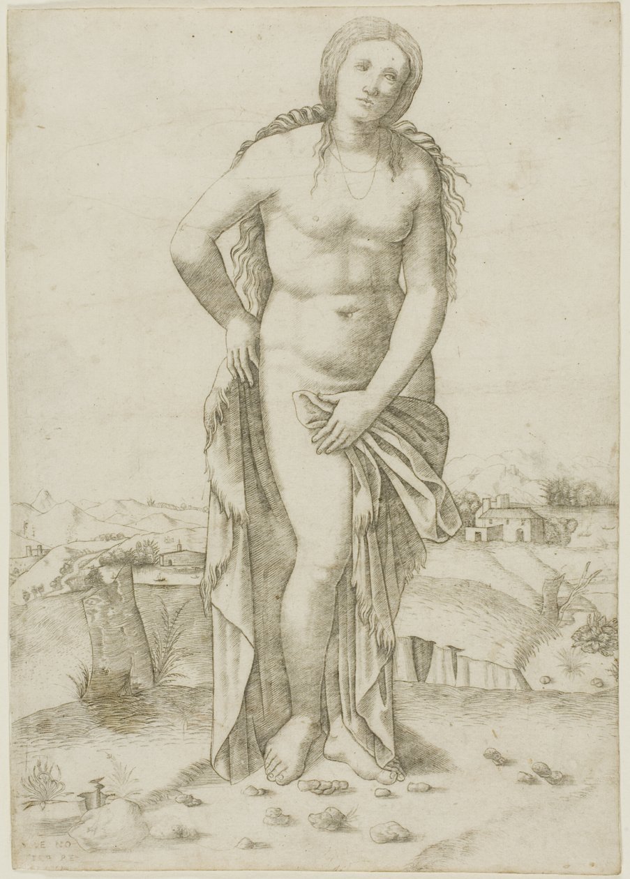Venere da Giovanni Antonio da Brescia