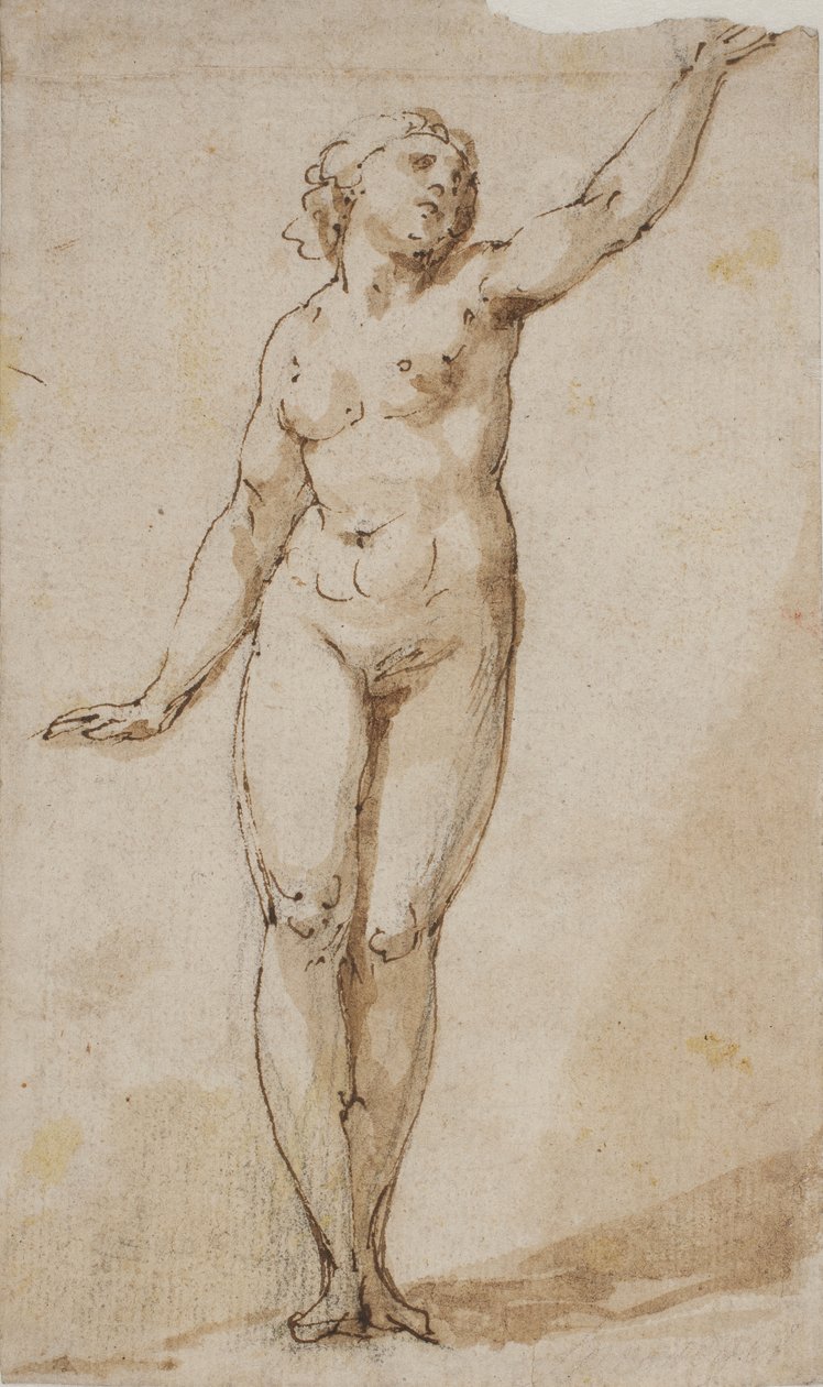 Donna nuda in piedi che alza il braccio sinistro da Giovanni Baglione