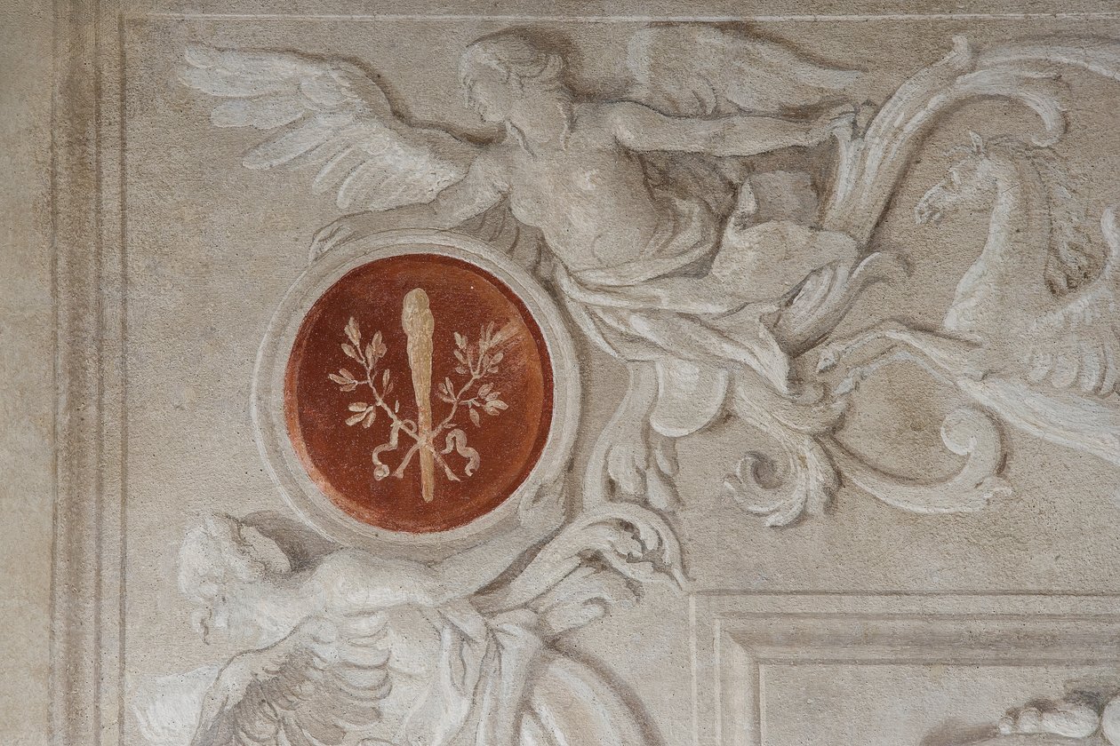 Dettaglio dell