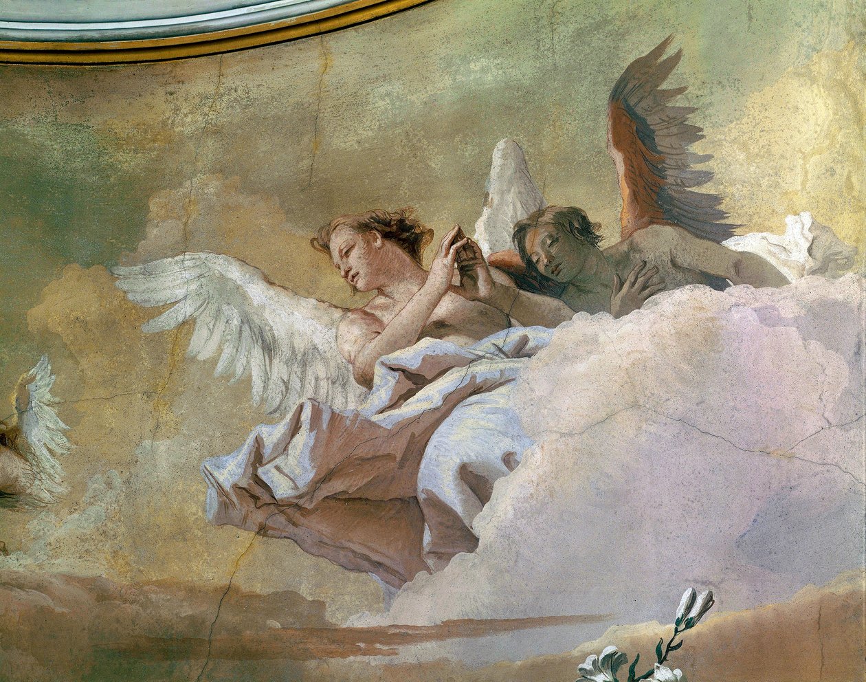 Gloria degli Angeli, di Giovanni Battista Tiepolo, affresco, Dettaglio, Oratorio della Purità, Udine da Giovanni Battista Tiepolo