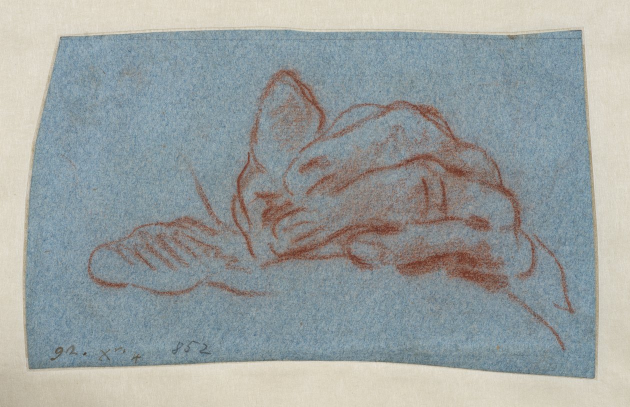 Studio di una mano sinistra, c.1750-1754 da Giovanni Battista (attr. to) Tiepolo