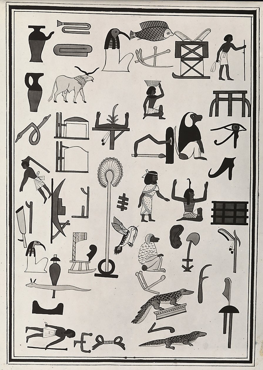 Disegni delle decorazioni all