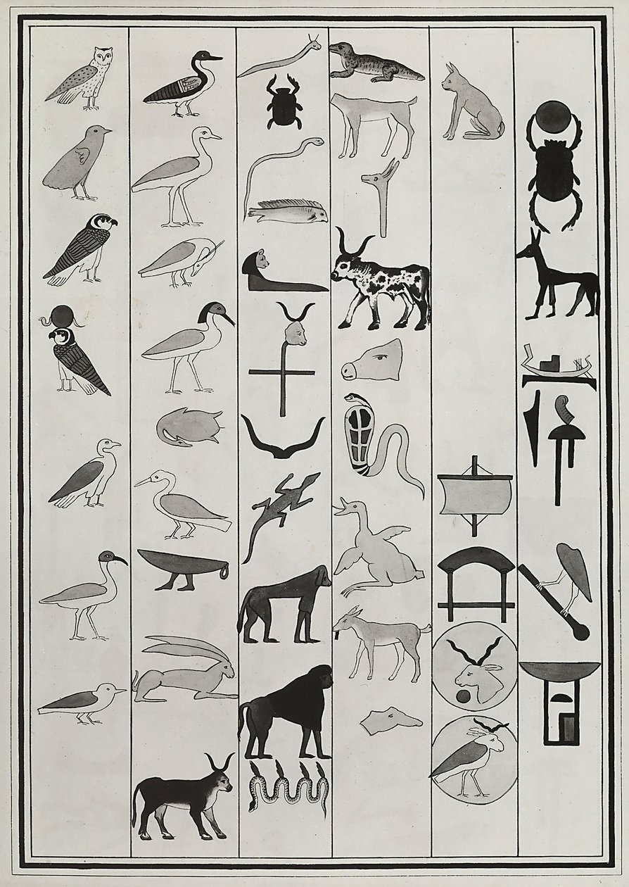 Disegni delle decorazioni all