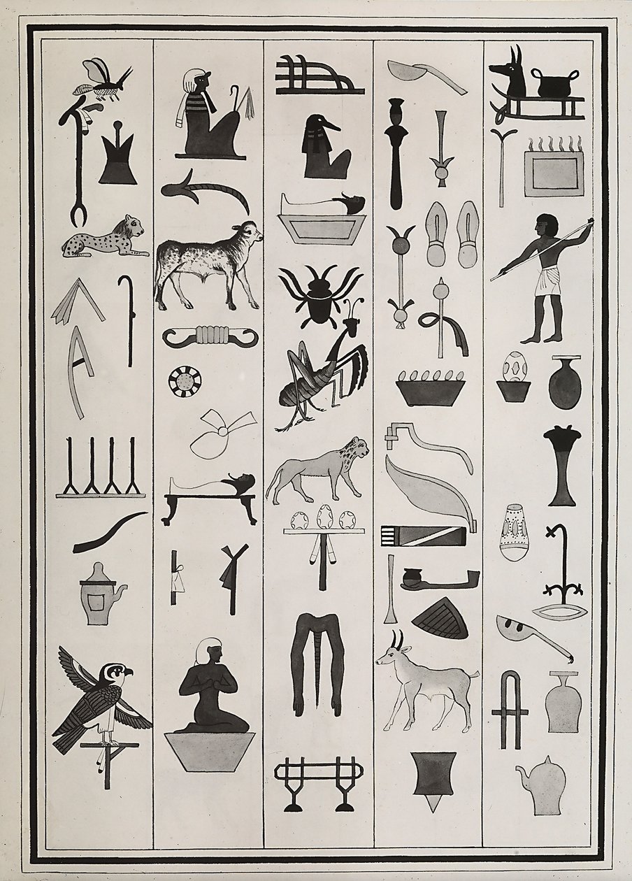 Disegni delle decorazioni all