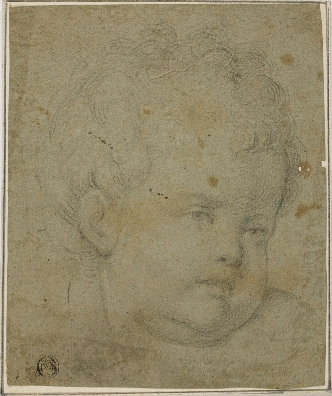 Testa di bambino da Giovanni Battista Caracciolo