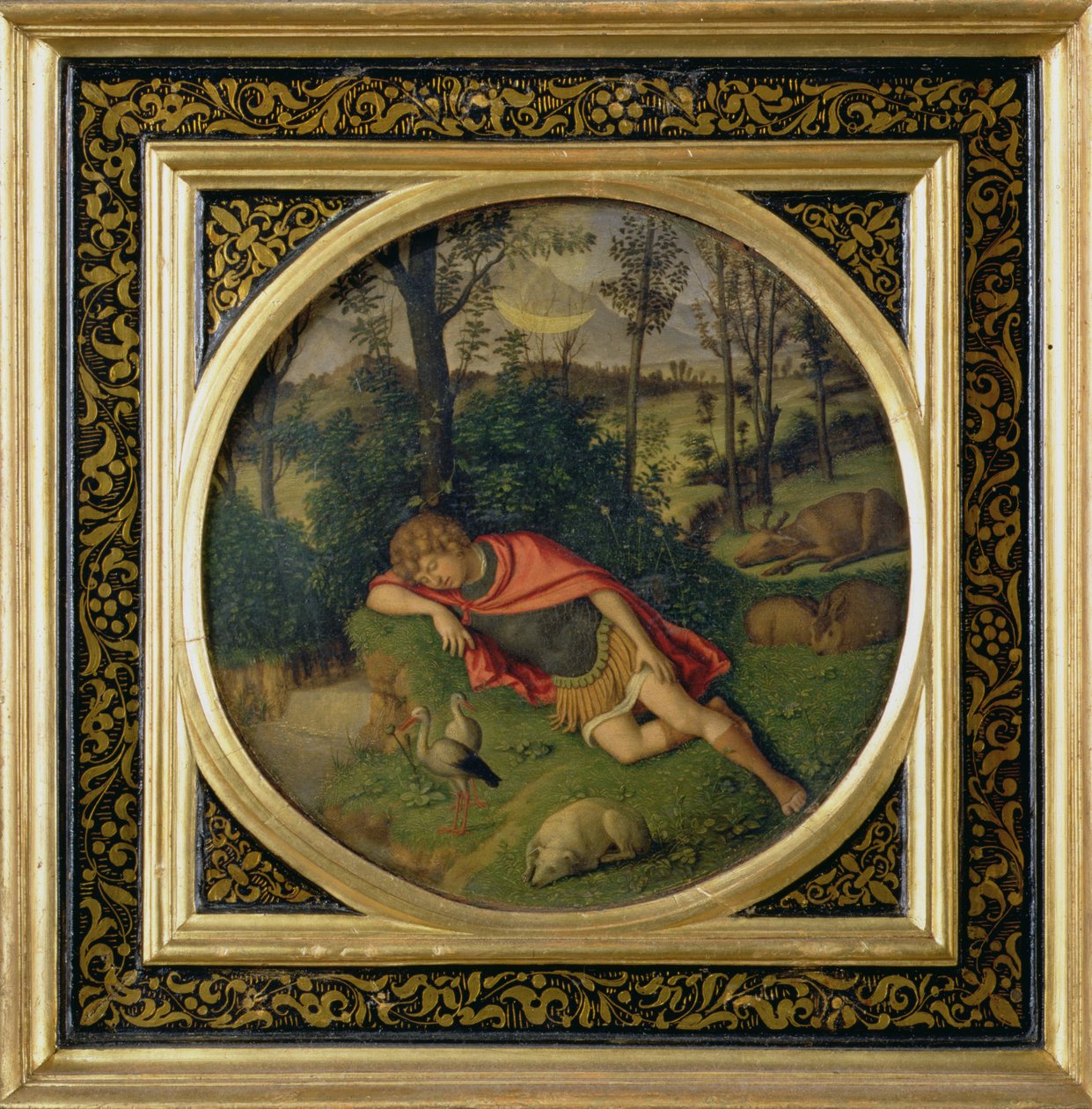 Endimione dormiente da Giovanni Battista Cima da Conegliano