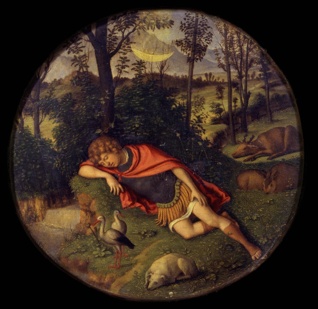 Endimione dormiente, 1505-1508 da Giovanni Battista Cima da Conegliano